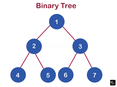 Binary Tree in DataStructures in C