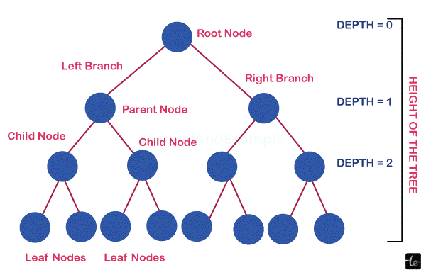 Binary Tree in DataStructures in C