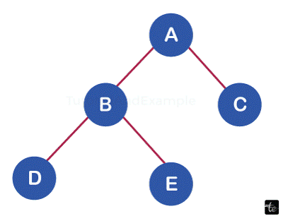 Binary Tree in DataStructures in C