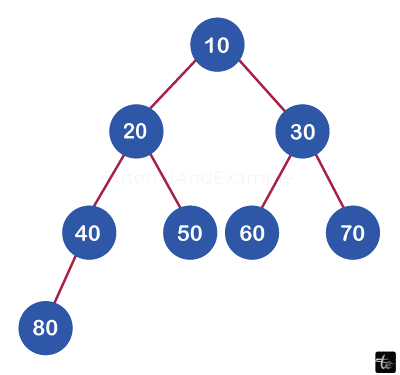 Binary Tree in DataStructures in C