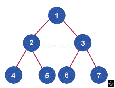 Binary Tree in DataStructures in C