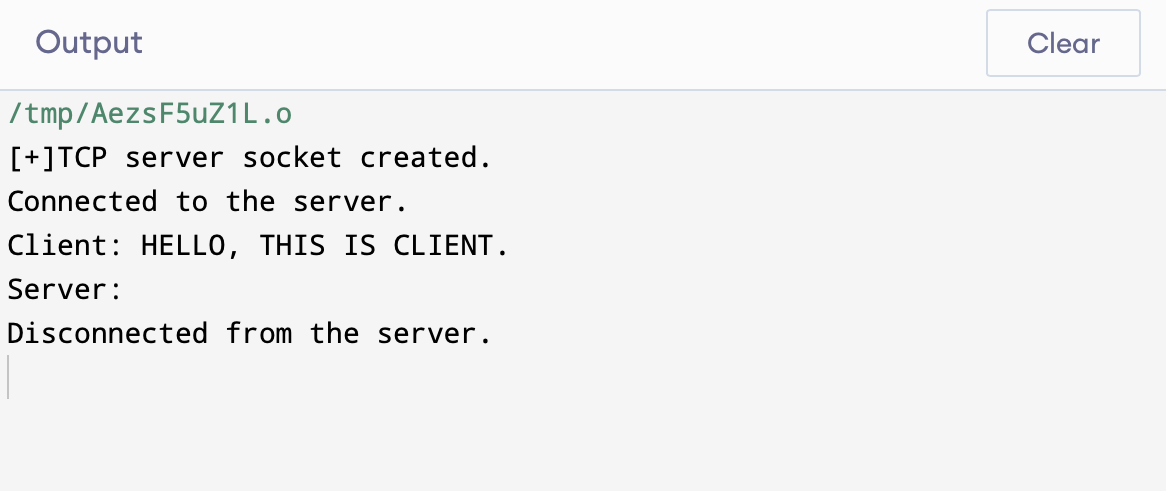 Client-server program in C