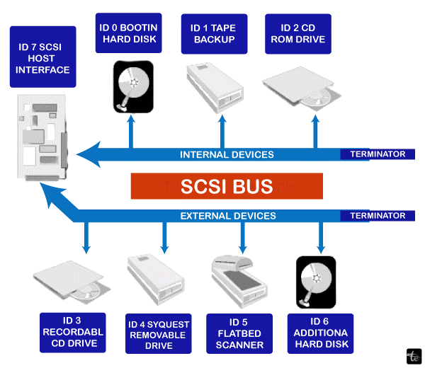 SCSI Bus in Computer Architecture