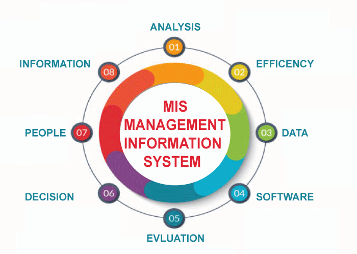 characteristics-of-management-information-system-tae