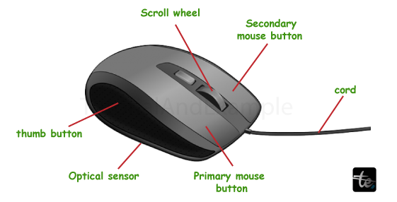 Characteristics of Mouse in Computer/>
<!-- /wp:html -->

<!-- wp:paragraph -->
<p>These days, the mouse is a necessary component of every PC's graphical user interface (GUI). The mouse's resemblance in size and color to a toy mouse is likely how it received its name. Typically, mouse contain a scroll wheel, a laser sensor, and two buttons. They are employed for button clicks, object selection, and cursor movement on the screen. The mouse is a key component of graphical user interfaces, which users use to move cursors and make selections on computer screens.</p>
<!-- /wp:paragraph -->

<!-- wp:heading {