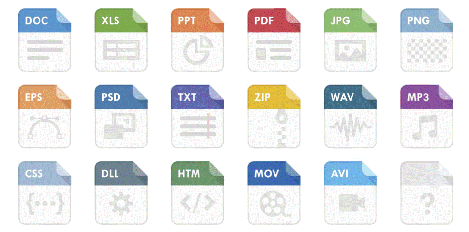 What are the most common file types and file extensions