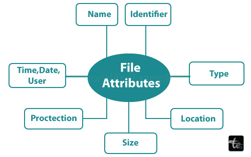 What is a File Attribute?