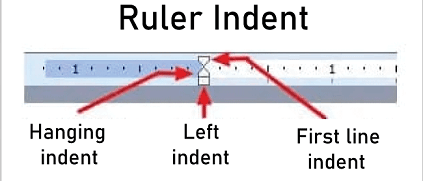 What is a Ruler