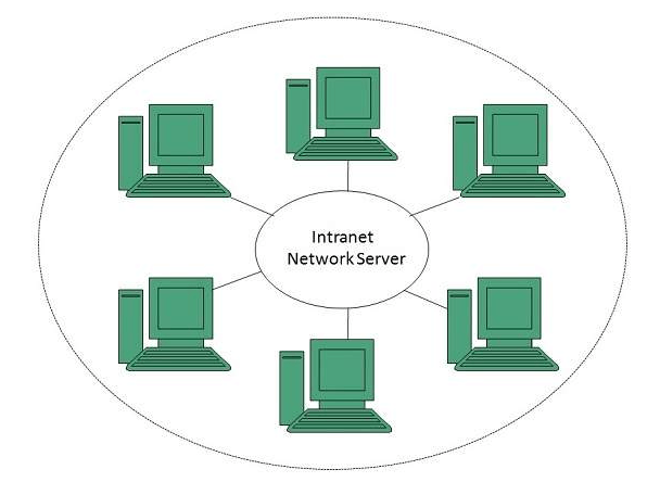 What is an Intranet? Meaning and Differences with Internet