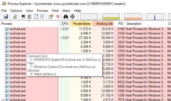 What is the svchost.exe file used for in Windows