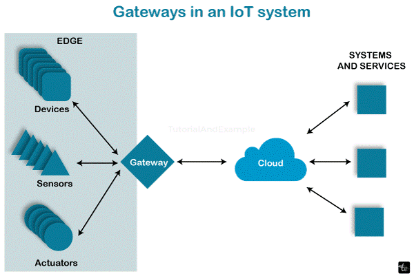 Difference between Gateway and Switch