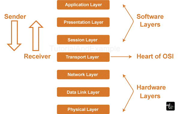 Reference Models in Computer Networks