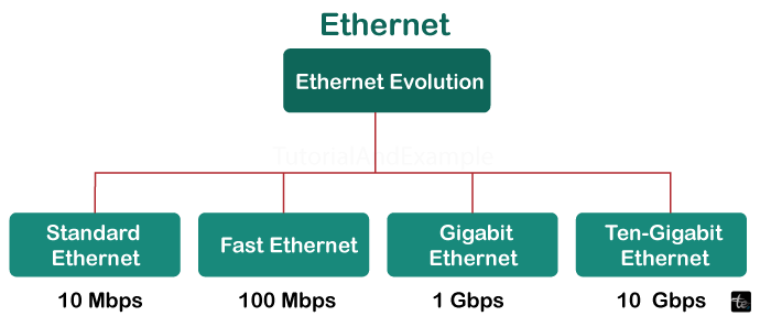 Types of Ethernet in Computer Networks