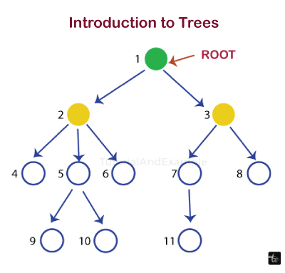 Data Structures Algorithms and Application in C++