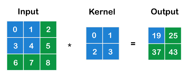 Image Recognition Algorithm in C++