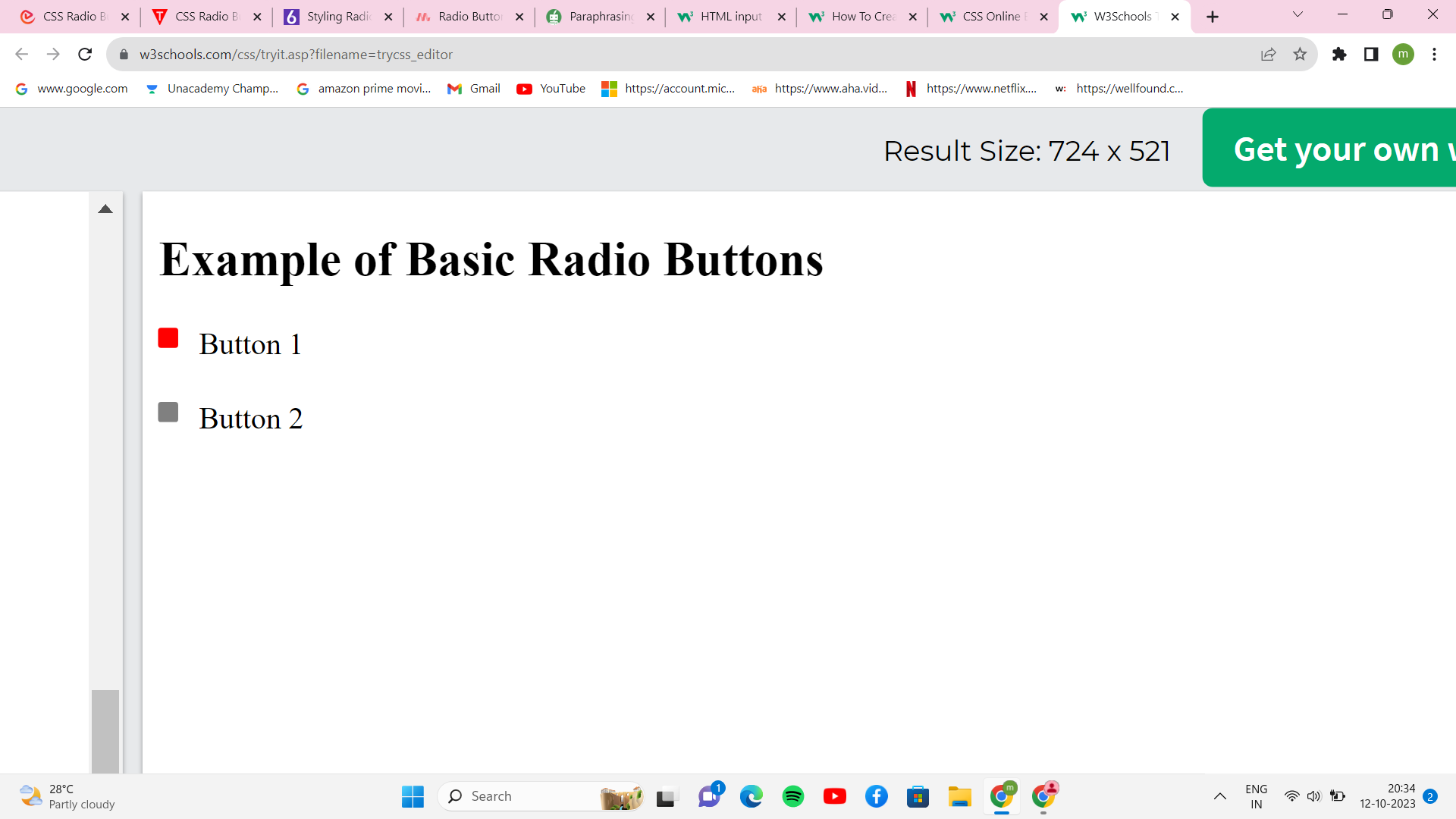 Radio Button in CSS