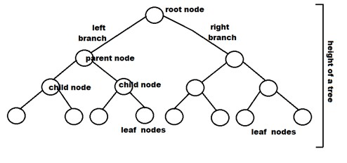 Perfect binary tree