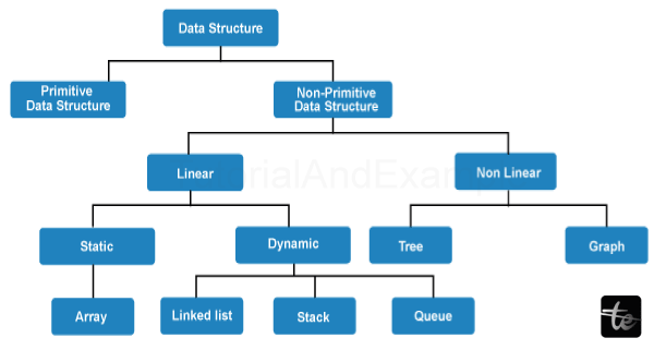 Primitive vs non primitive data structure