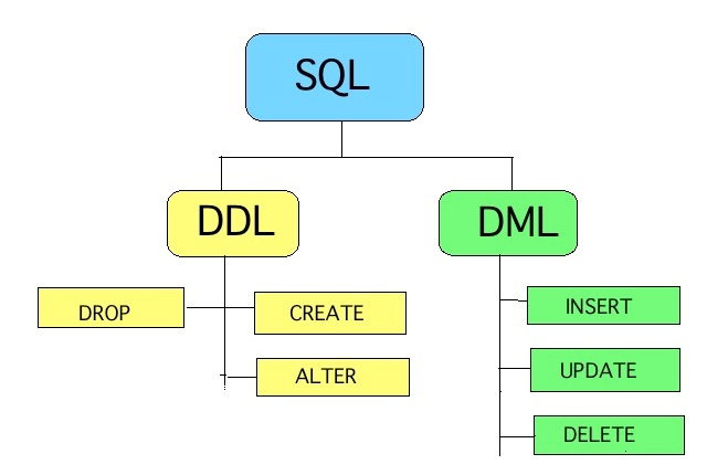 Database Languages and Interfaces in DBMS