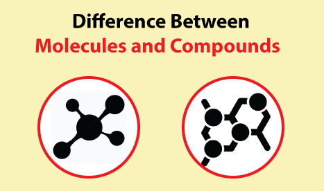 Difference Between Molecules And Compounds