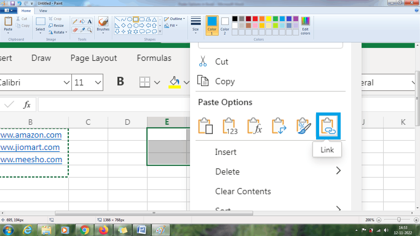 Paste Options in Excel