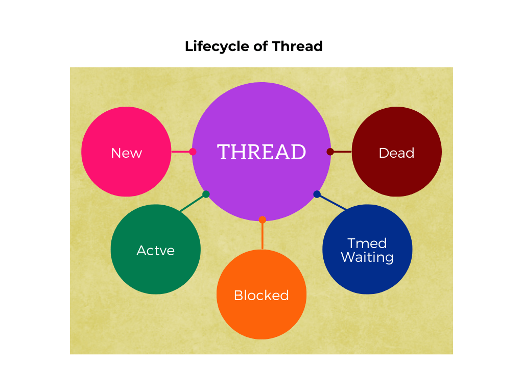 Java Thread Lifecycle: States and Stages
