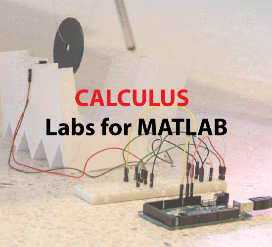 Matlab calculus