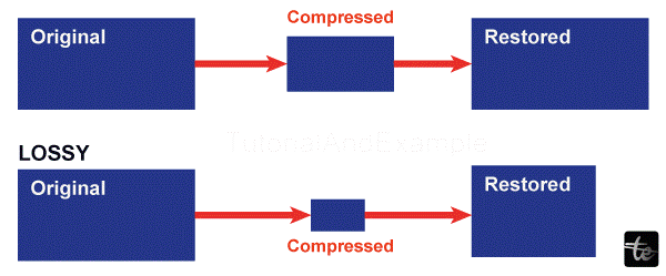 Data Compression Techniques