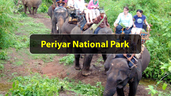 National Parks In India