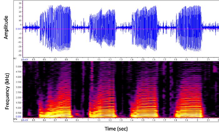 Machine Learning for Audio Classification