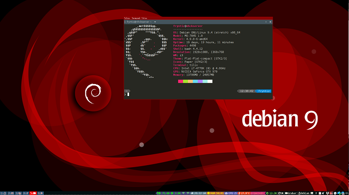 Organizational Structure and Development in Debian Operating Systems