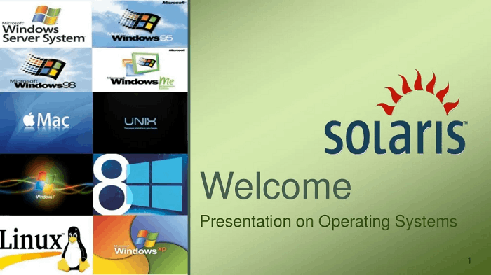 Solaris Operating System