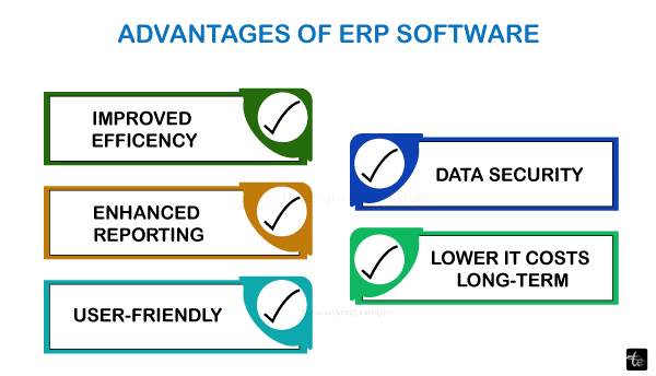 Advantages and Disadvantages of using ERP systems