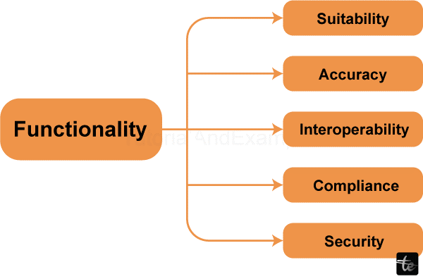 Components of Software in Software Engineering